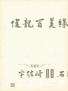 俊龙百美缘小说封面
