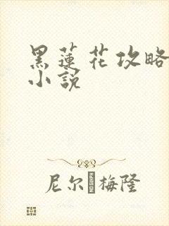 黑莲花攻略手册小说封面
