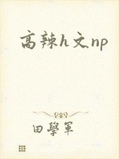 高辣h文np
