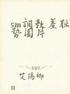 sm调教羞耻姿势图片封面