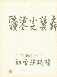 陈浩小说免费阅读全文最新
