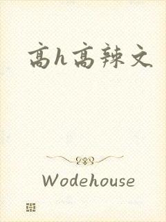 高h高辣文