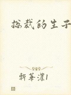 总裁的生子情人