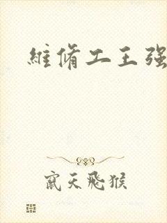 维修工王强张婷