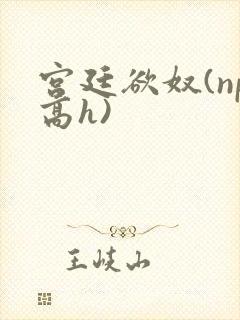 宫廷欲奴(np高h)