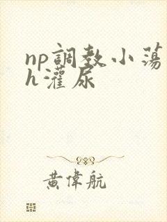 np调教小荡货h灌尿封面