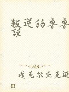 叛逆的鲁鲁修小说