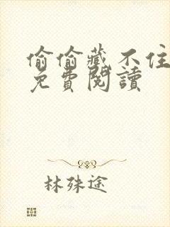 偷偷藏不住小说免费阅读