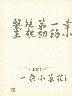 系统第一章给宿主破初的小说