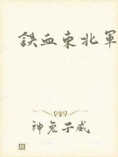 铁血东北军封面