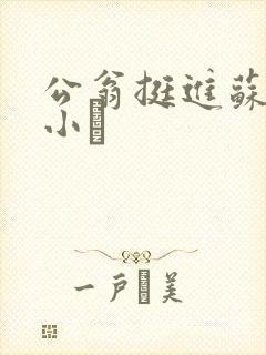 公翁挺进苏玥的小泬