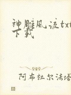 神雕风流txt下载