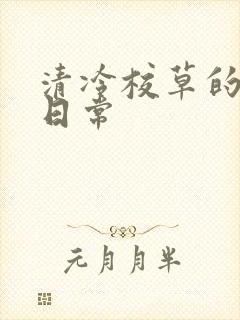 清冷校草的抹布日常