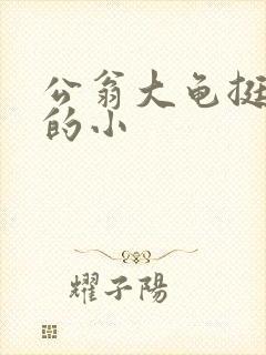 公翁大龟挺进我的小封面