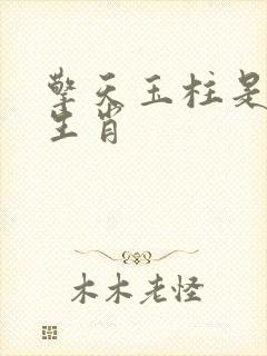 擎天玉柱是什么生肖