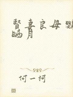 贤妻良母 鹦鹉晒月