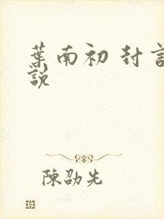 叶南初 封言小说