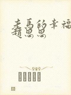 老马的幸福生活赵思思封面