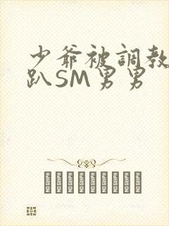 少爷被调教室跪趴SM男男