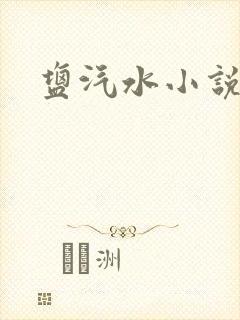 盐汽水小说