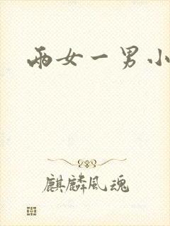 两女一男小说封面