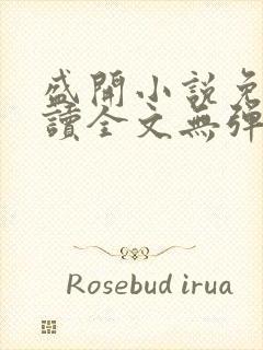 盛开小说免费阅读全文无弹窗