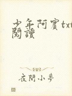 少年阿宾txt阅读封面