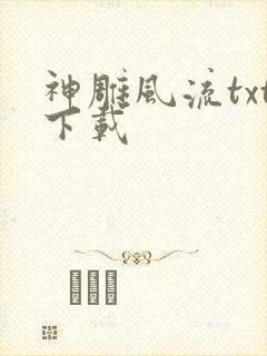 神雕风流txt下载封面