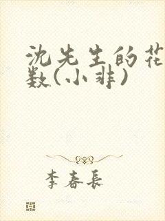 沈先生的花式调数(小非)封面