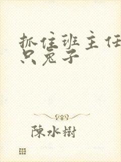 抓住班主任的两只兔子封面