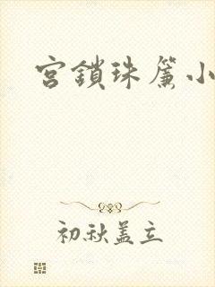 宫锁珠帘小说封面