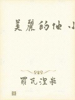 美丽的他 小说
