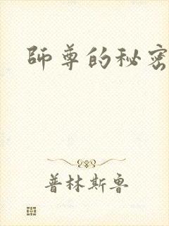 师尊的秘密封面