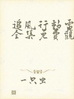 追风行动电视剧全集免费观看封面