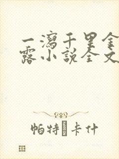 一泻千里金银花露小说全文免费阅读封面