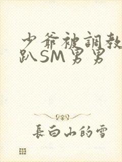 少爷被调教室跪趴SM男男