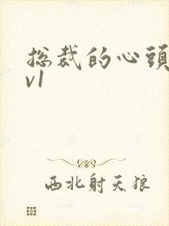 总裁的心头宝1v1