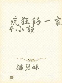 疯狂的一家ps4小说