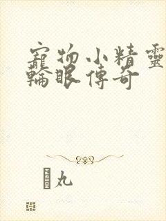 宠物小精灵之写轮眼传奇封面