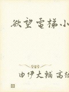 欲望电梯小说封面