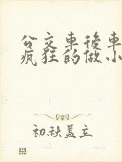 公交车后车座的疯狂的做小