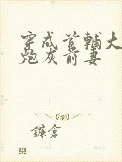 穿成首辅大人的炮灰前妻