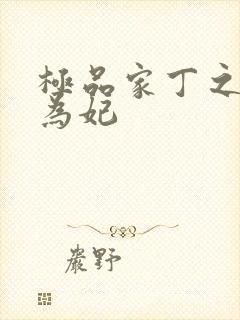 极品家丁之册母为妃