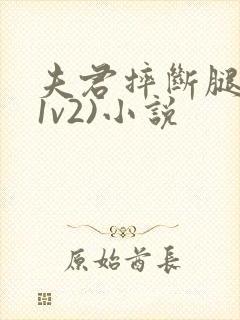 夫君摔断腿后(1v2)小说
