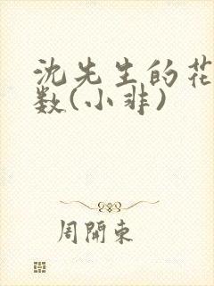 沈先生的花式调数(小非)