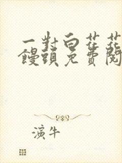 一对白花花的大馒头免费阅读