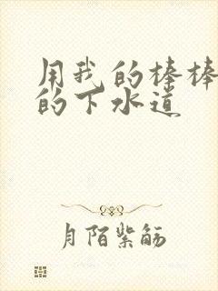 用我的棒棒通你的下水道