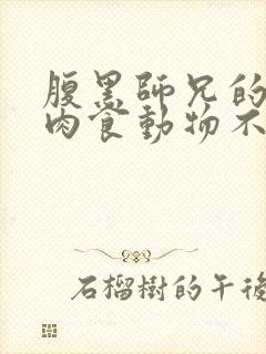 腹黑师兄的日常肉食动物不食草