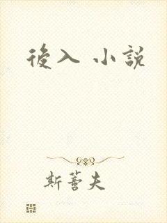 后入 小说封面