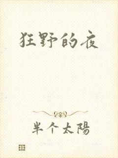 狂野的夜封面